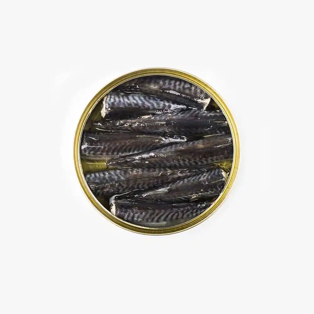 Small Mackerels - Image 2